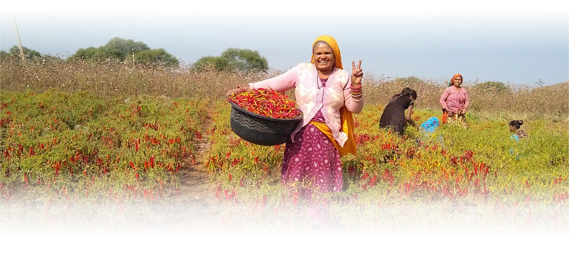 Farmers